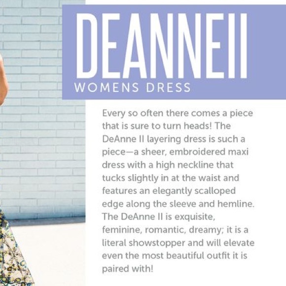 Beautiful Sheer Overlay Dress - Picture 8 of 11